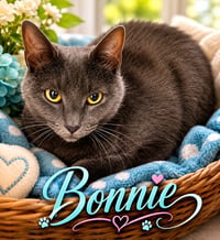 Bonnie (FCID# 06/29/2026 - 9 Trainer) - Photo 1