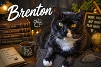 Brenton  (FCID# 04/28/25-32) C, SN z/d food - Photo 1