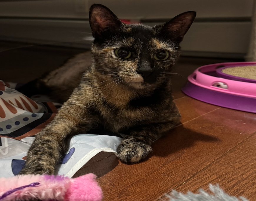 NALA (FCID# 12/01/2025 - 52) KC