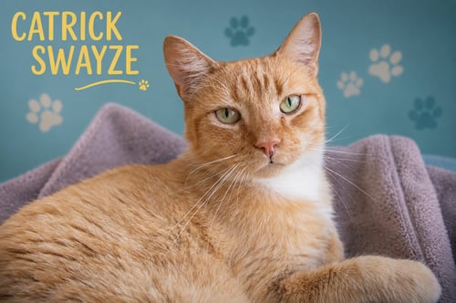 CATRICK SWAYZE (FCID# 06/02/26-73 BRANDYWINE PS) C