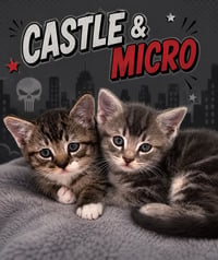 Castle & Micro: bonded (FCID# 06/30/26-7,5) - Photo 1