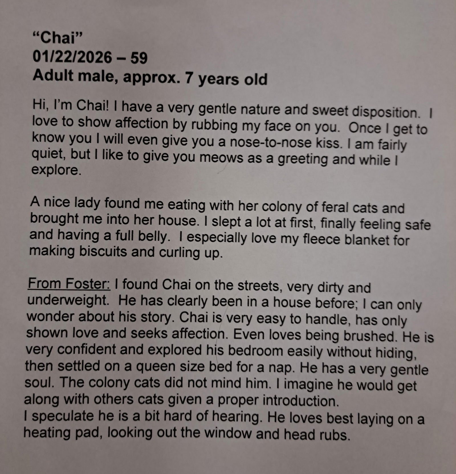 CHAI (FCID# 01/22/2026 - 59 BRANDYWINE PS) C - Tabby / Tuxedo available for adoption