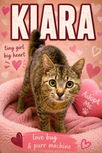 Kiara (FCID# 05/07/2026 - 60 Trainer) - Photo 1