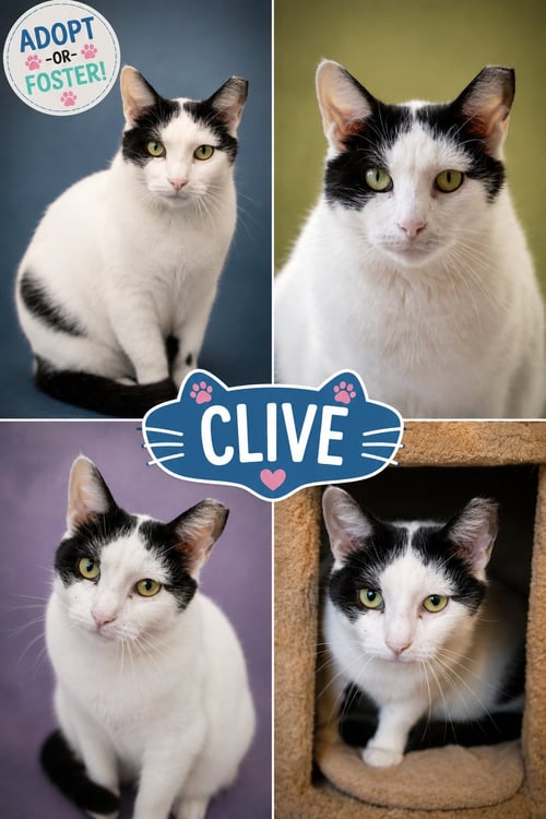 CLIVE (FCID# 01/06/2026 - 410 TRAINER)