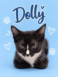 Charles & Dolly: Bonded (Middletown PS) - Photo 3