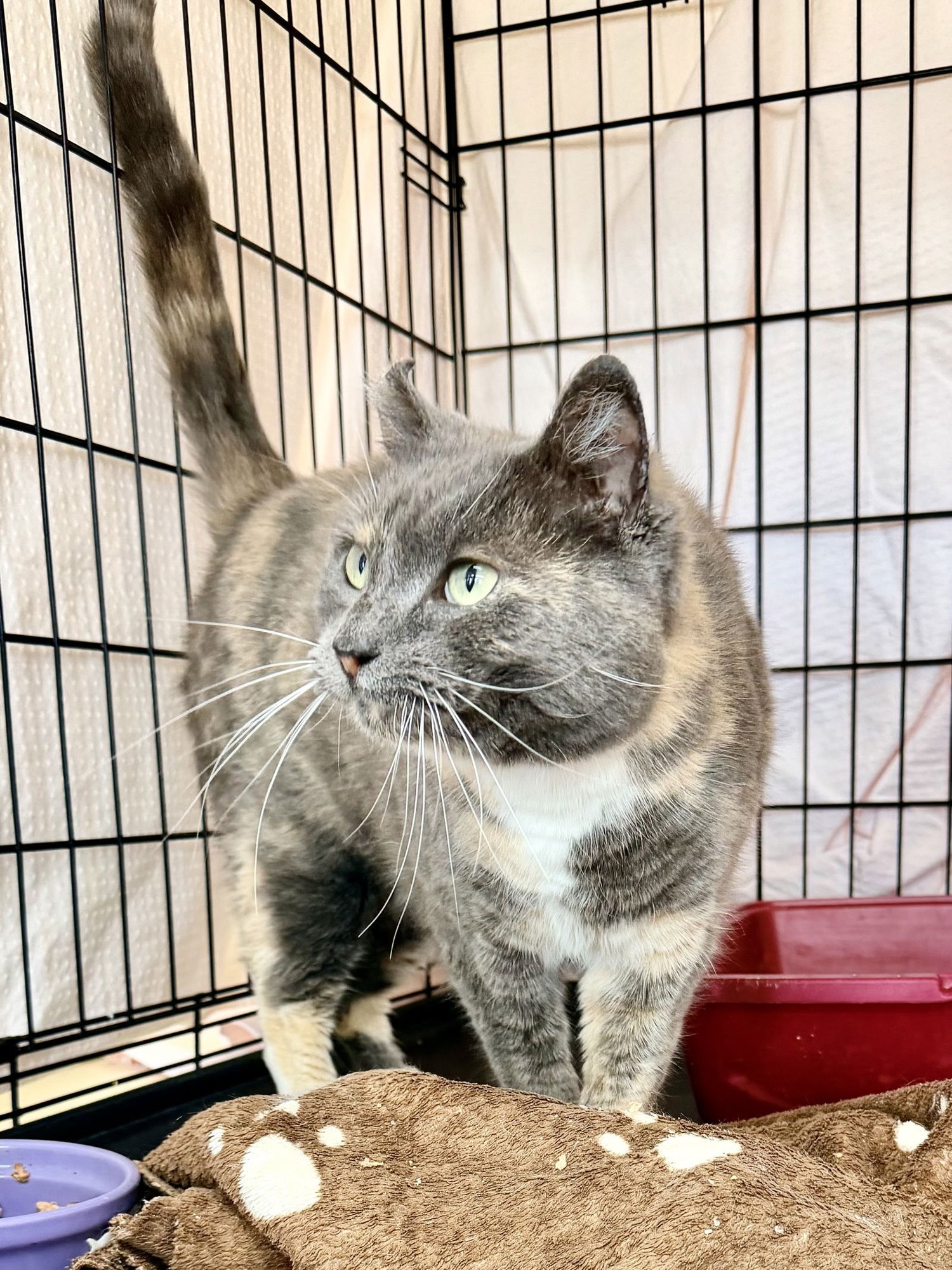 Berry, Willow Grove PA (FCID# 01/06/2026 - 402) C - Photo 4