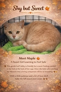 Maple (FCID# 04/09/2026 - 17 Trainer) - Photo 3