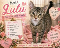 Lulu (FCID# 04/16/2026 - 17 Trainer) - Photo 1