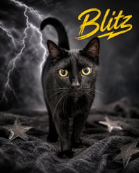 Blitz (FCID# 06/29/2026 - 7 Trainer) - Photo 1