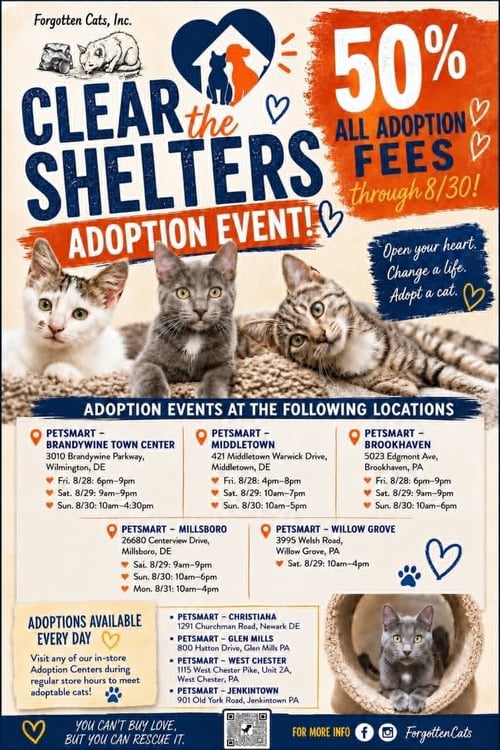 CLEAR THE SHELTERS CRESCENDO WEEKEND AUG. 28-30!! - Domestic Short Hair available for adoption