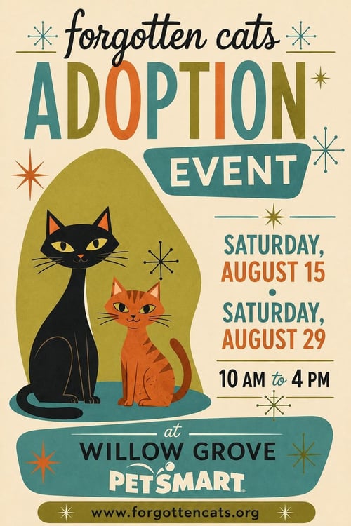 CLEAR THE SHELTERS CRESCENDO WEEKEND AUG. 28-30!! - Domestic Short Hair available for adoption