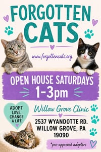 Clear The Shelters Crescendo Weekend Aug. 28-30!! - Photo 3