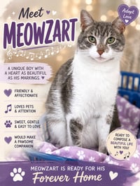 Meowzart (FCID# 06/01/2026 - 46 Trainer) - Photo 1