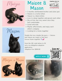 Mason w/Maizee (f) (FCID 5/18/26-68,67 Middletown - Photo 2