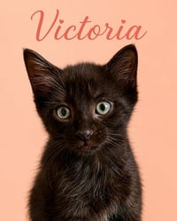 Victoria (FCID# 6/09/2026 - 4) - Photo 3