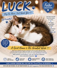 Luck (FCID# 12/02/2025 - 402 Trainer) C - Photo 3