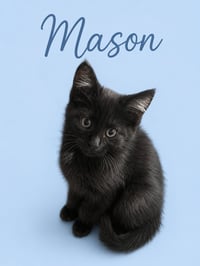 Maizee w/Mason (m): (FCID 5/18/26-67,68 Middletown - Photo 3