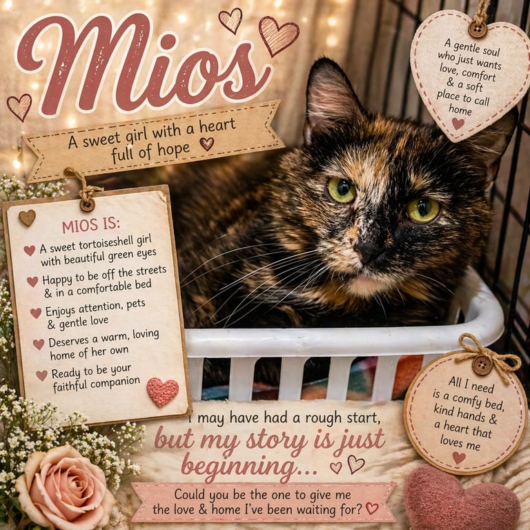 Mios (FCID# 04/16/2026 - 14 Trainer) Image