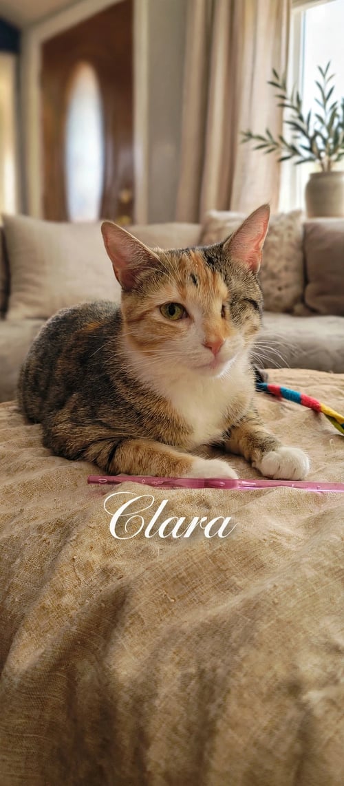 CLARA, WILLOW GROVE PS (FCID 01/13/2026-151)