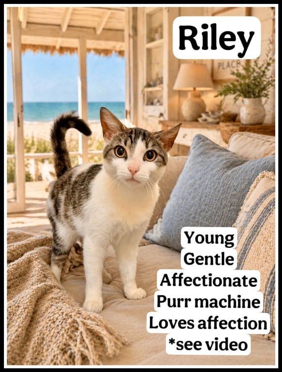 Kiley (FCID# 04/10/26 - 103 Willow Grove PA) Image