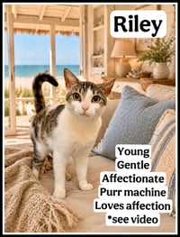 Kiley (FCID# 04/10/26 - 103 Willow Grove PA) - Photo 1