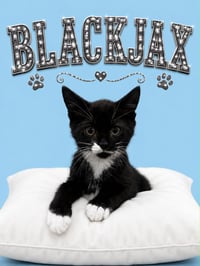 Blackjax (FCID# 06/30/2026 - 3 Millsboro PS) KDC - Photo 1