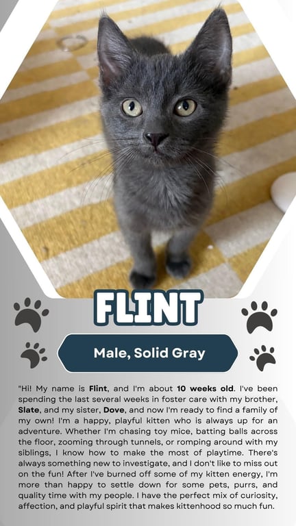 Flint (FCID# 07/15/2026 - 1) Image