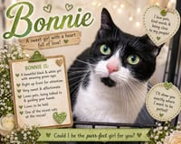 Bonnie (FCID# 04/16/2026 - 62 Trainer) - Photo 1