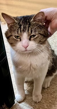 Alan Purring  (FCID# 03/13/2026-114)JPS - Photo 3