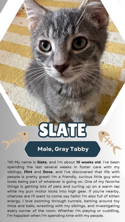 Slate (FCID# 07/15/2026 - 3) Image