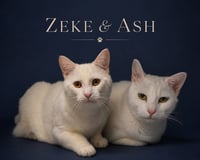 Zeke & Ash: Bonded (Middletown PS) - Photo 1