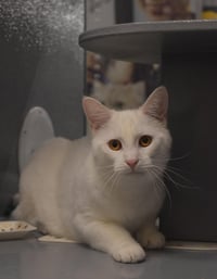 Zeke & Ash: Bonded (Middletown PS) - Photo 2