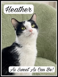 Heather (FCID#04/22/2026 - 146) Willow Grove - Photo 1