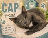 Cap (FCID# 05/13/2026 - 1 Trainer) - Photo 1