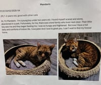 Mandarin (FCID# 03/02/2026 - 54 Middletown PS) DC - Photo 1
