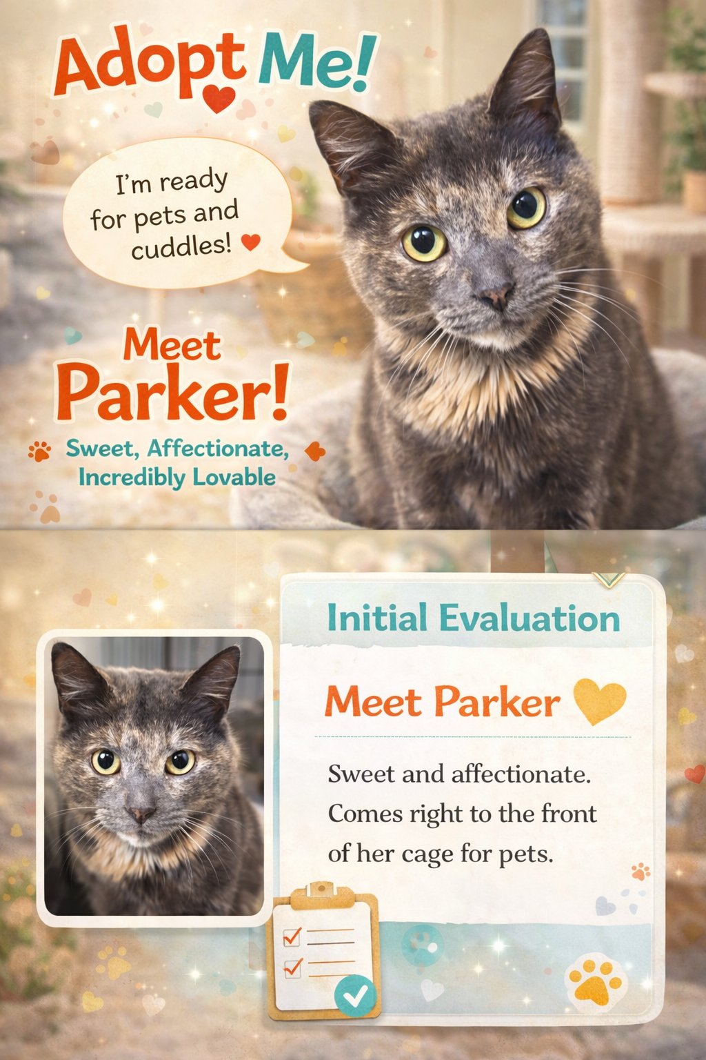 PARKER: BOBTAIL (FCID# 03/09/2026-22 MILLSBORO PS) - Bobtail / Dilute Tortoiseshell available for adoption
