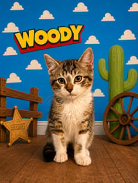 Woody & Buzz: bonded (FCID# 06/24/26 - 66, 65) - Photo 2