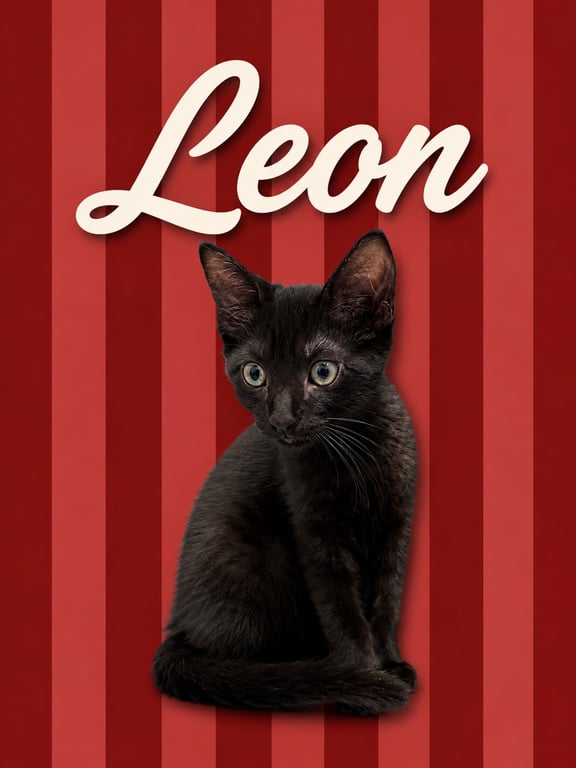 Leon (FCID# 06/09/2026 - 2 Middletown PS) Image