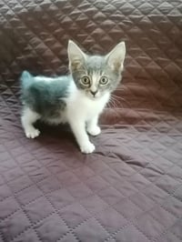Sally - Photo 3