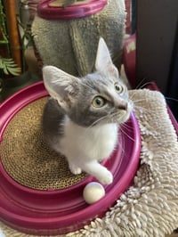 Sally - Photo 6