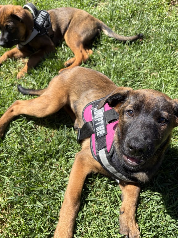 Zoey Image