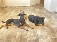 Happy - Photo 11
