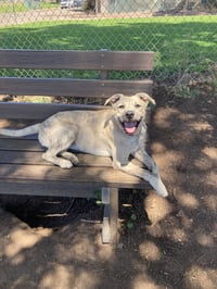 Happy - Photo 16