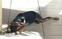 Chillie - Photo 5