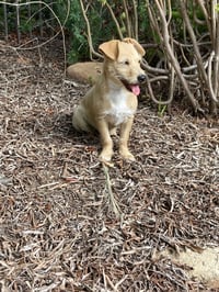 Milly - Photo 9