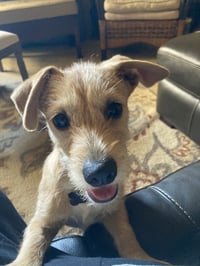 Milly - Photo 1