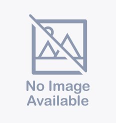 BARNUM - Labrador Retriever available for adoption