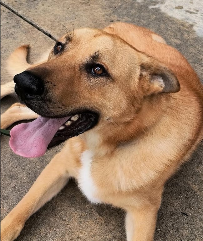 Bodie Image