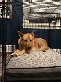 Bodie - Photo 2