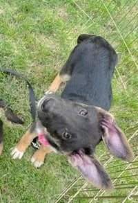 Bea - Photo 3